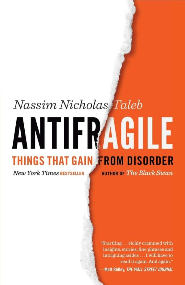 Valuebury - Book - Antifragile - Nassim Nicholas Taleb