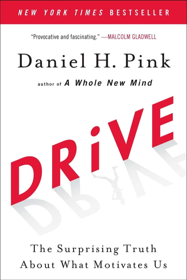 Valuebury - Book - Drive - Daniel H. Pink