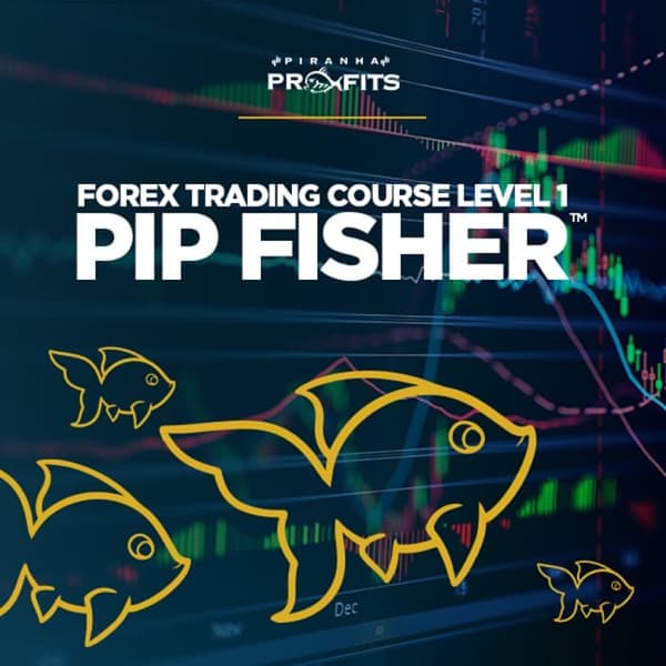 Valuebury - Online Course - Forex Trading Course Level 1: Pip Fisher™ by Adam Khoo