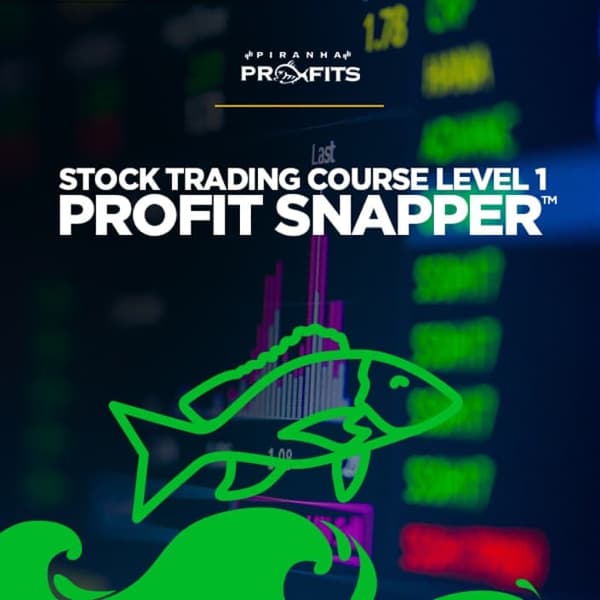 Valuebury - Online Course - Stock Trading Course Level 1: Profit Snapper™ by Adam Khoo