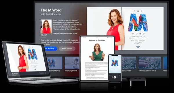 Valuebury - Online Course - The M Word by Emily Fletcher by Emily Fletcher