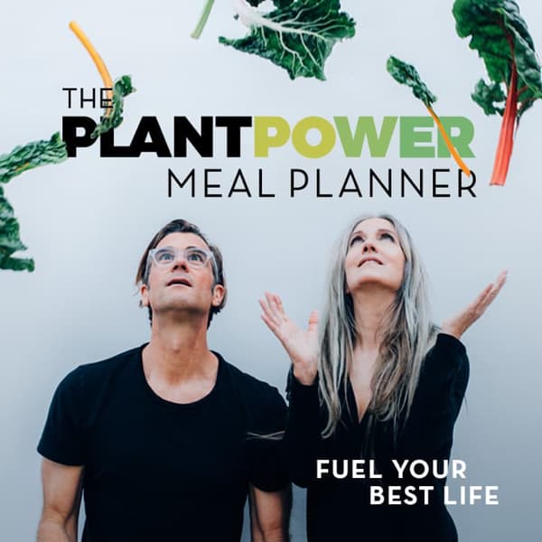 Valuebury - Online Membership - THE PLANTPOWER MEAL PLANNER by Rich Roll